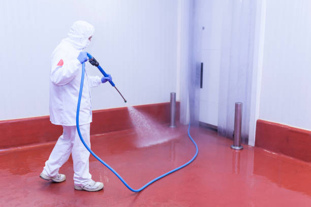 Best Warehouse Cleaning  in Hagerstown, IN